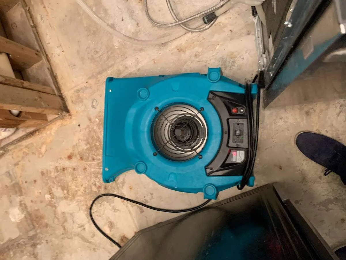 Air mover drying equipment for Mold Remediation & Removal in Willowick